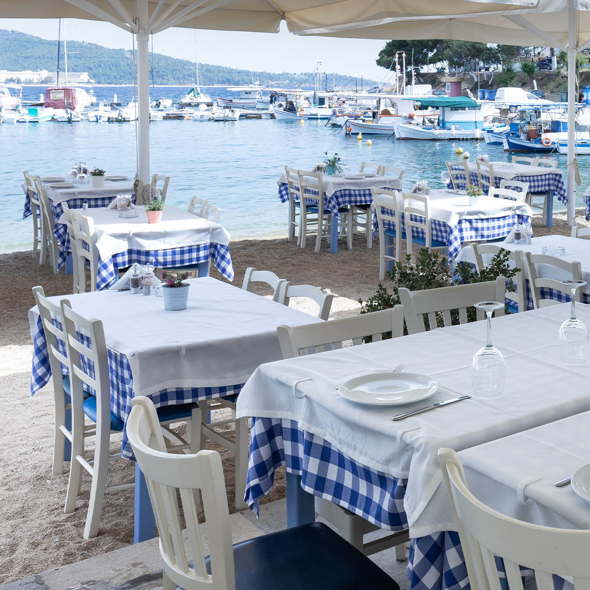 Græsk aften med share food og vinsmagning